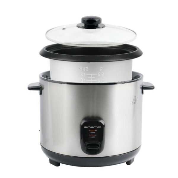 2L 900W INOX