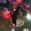 JUEGO SWITCH DRAGONES-LEYENDAS DE LOS NUEVE REINOS - Imagen 11
