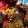 JUEGO SWITCH DRAGONES-LEYENDAS DE LOS NUEVE REINOS - Imagen 9