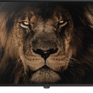 STV NEVIR NVR8076554K2SSMAN 55'' UHD 4K ANDROID 9.0