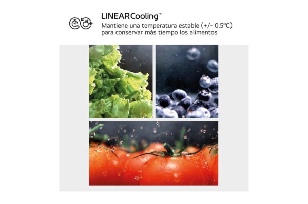 COMBI LG BLANCA GBV7270ESW 203X59,5 NF E DOORCOOLING+ 387L WIFI BCO - Imagen 5